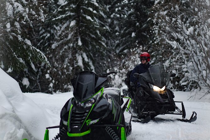 Ski & Snow Tour to Bakuriani from Kutaisi with Borjomi Stop - Key points at a glance