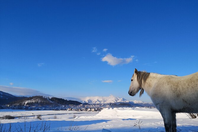 Ski & Snow Tour to Bakuriani from Kutaisi with Borjomi Stop - The road onward to Bakuriani