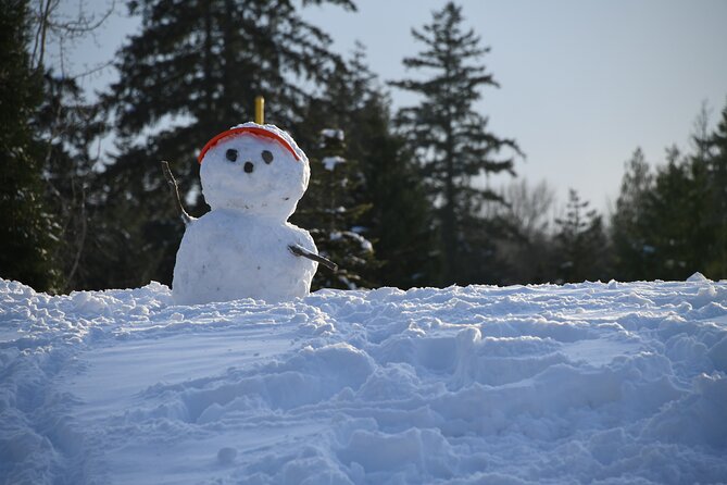 Ski & Snow Tour to Bakuriani from Kutaisi with Borjomi Stop - Choosing your Bakuriani activity