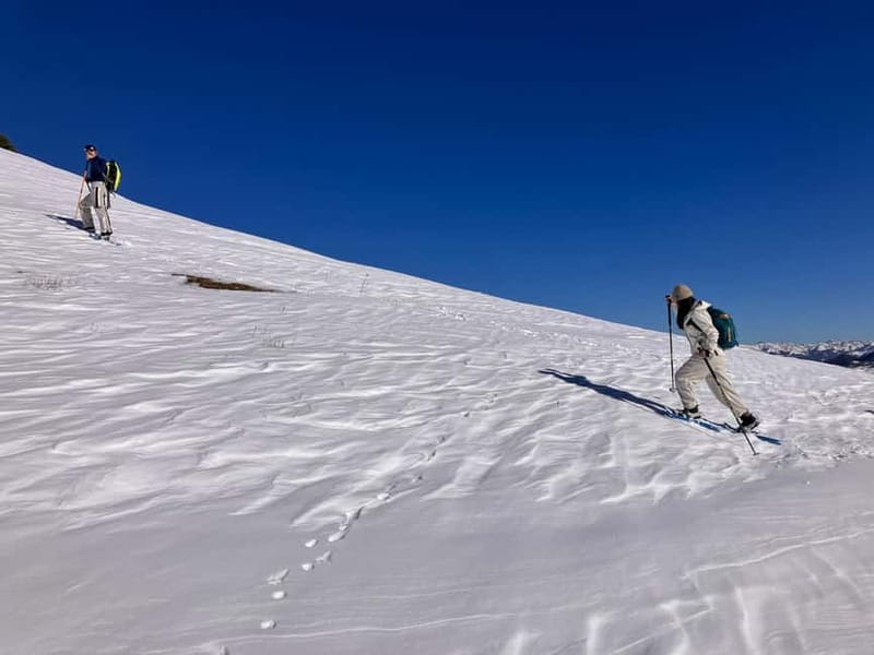 Snowshoeing in Bakuriani, Caucasus Mountains - Key points before you book