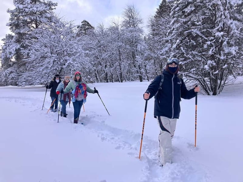 Snowshoeing in Bakuriani, Caucasus Mountains - Leaving Bakuriani for the snow