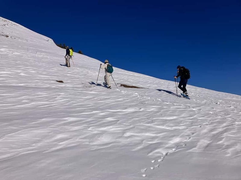 Snowshoeing in Bakuriani, Caucasus Mountains - Snowshoes, poles, and a route built for your group