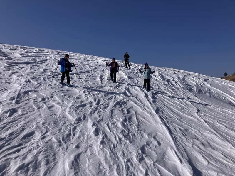 Snowshoeing in Bakuriani, Caucasus Mountains - The fish farm and the practical pleasure of lunch