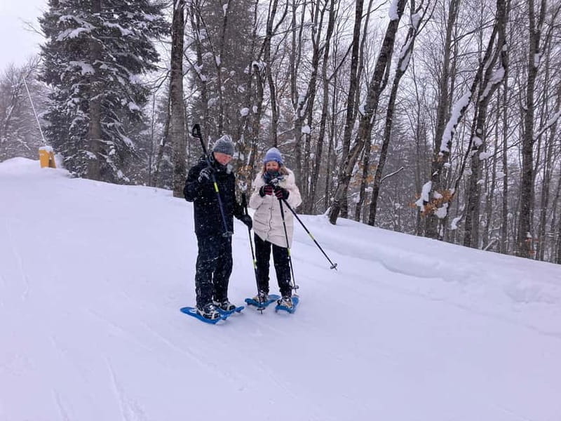 Snowshoeing in Bakuriani, Caucasus Mountains - What the $58 price really covers