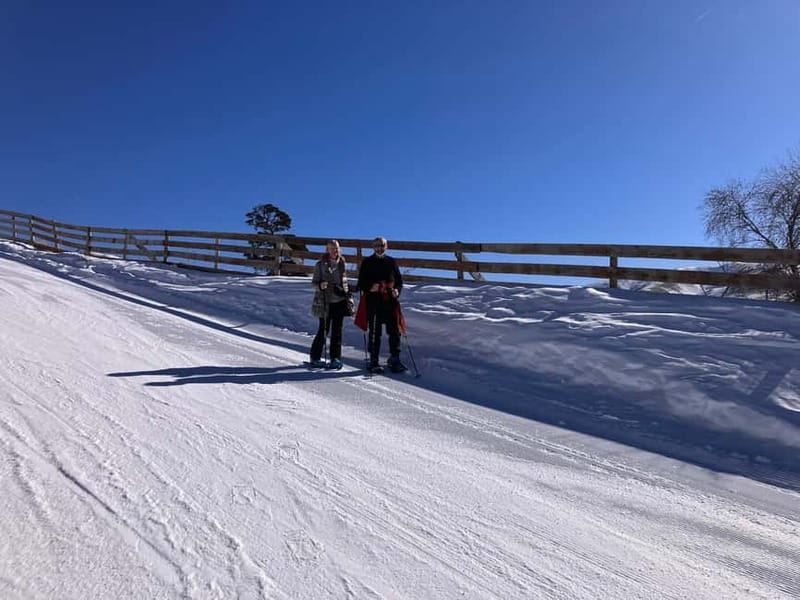 Snowshoeing in Bakuriani, Caucasus Mountains - Who will enjoy this Bakuriani snowshoe tour?