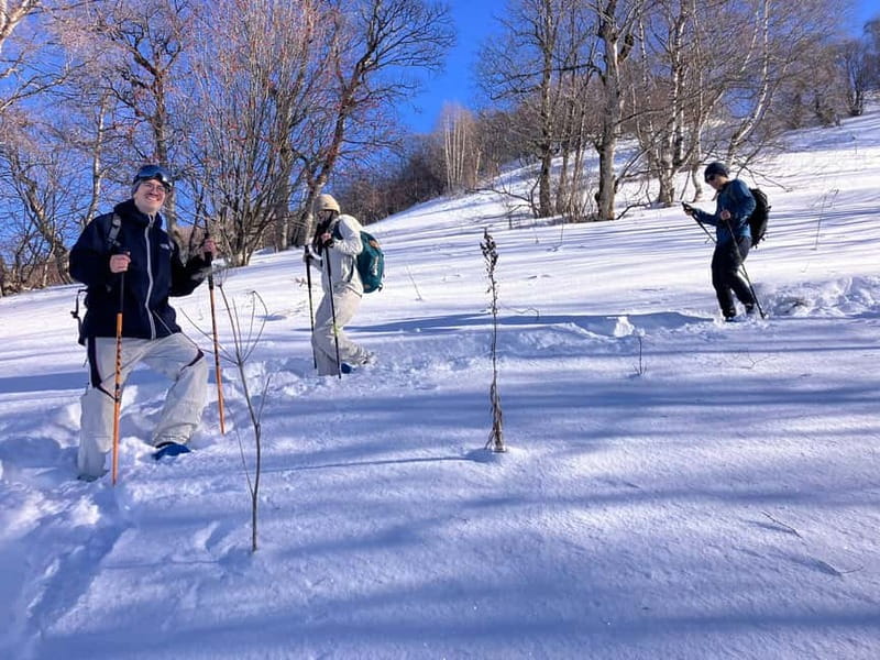 Snowshoeing in Bakuriani, Caucasus Mountains - Languages, safety, and what to bring