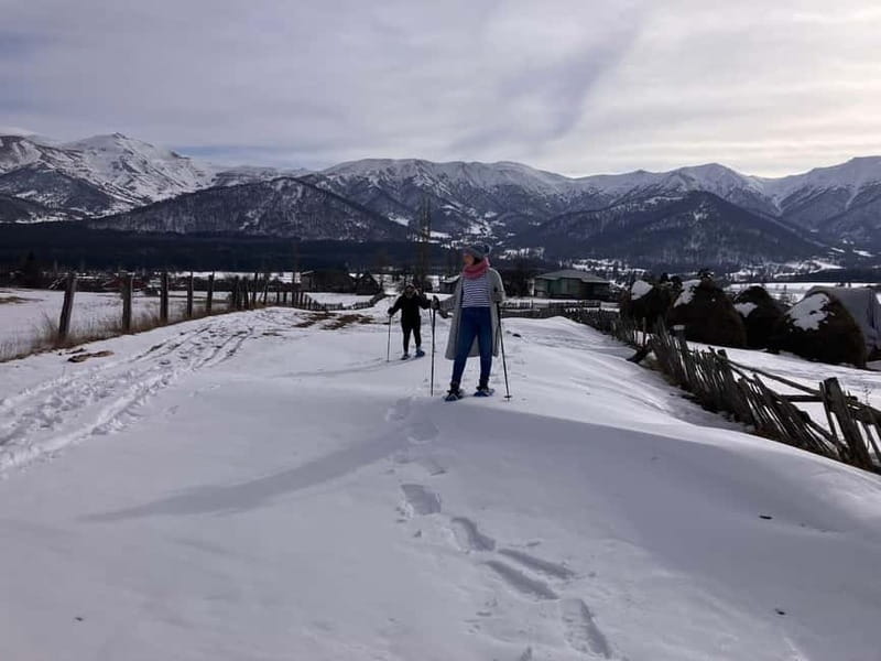 Snowshoeing in Bakuriani, Caucasus Mountains - Is it worth booking?