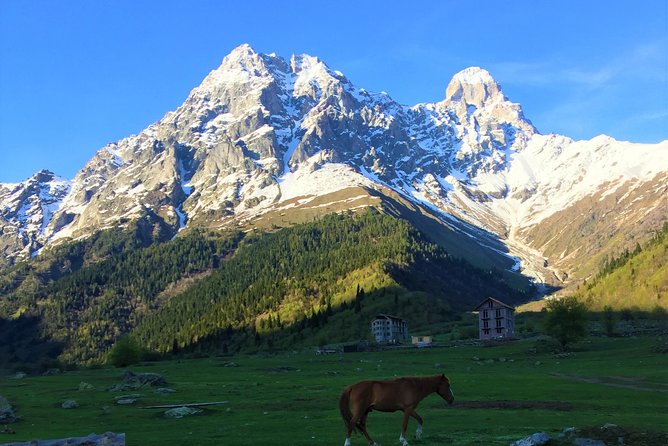 Svaneti Mountain Villages 4x4 Safari, tour from Kutaisi - Key Things to Know Before You Go