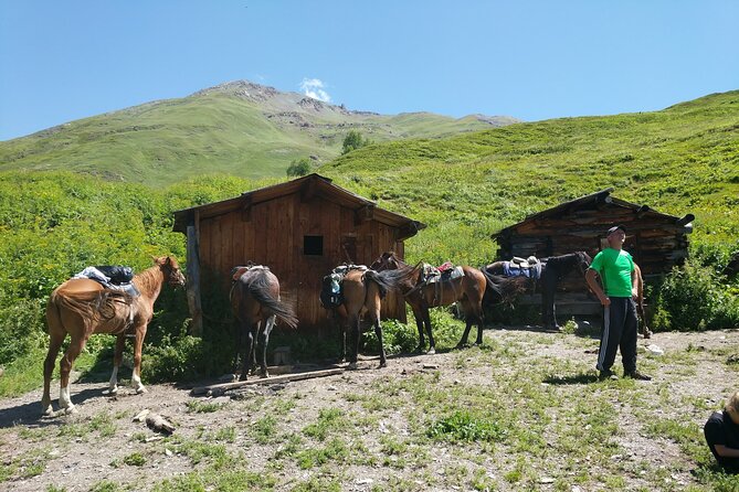 Svaneti Mountain Villages 4x4 Safari, tour from Kutaisi - Day Two: Mestia’s Towers and Local Stories