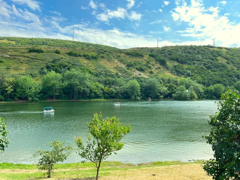 Tbilisi 2 Parks: Turtle Lake & Dedaena Park with Flea Market - Skateboarding, cafes, and the park’s social side