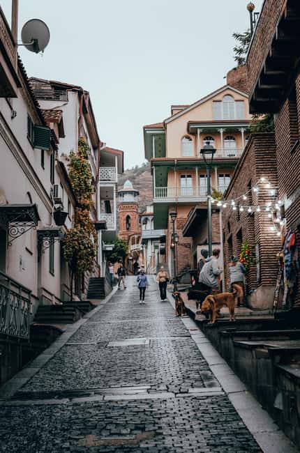 Tbilisi: 3-hour Private Guided Walking Tour - Metekhi Church and the city’s contested past