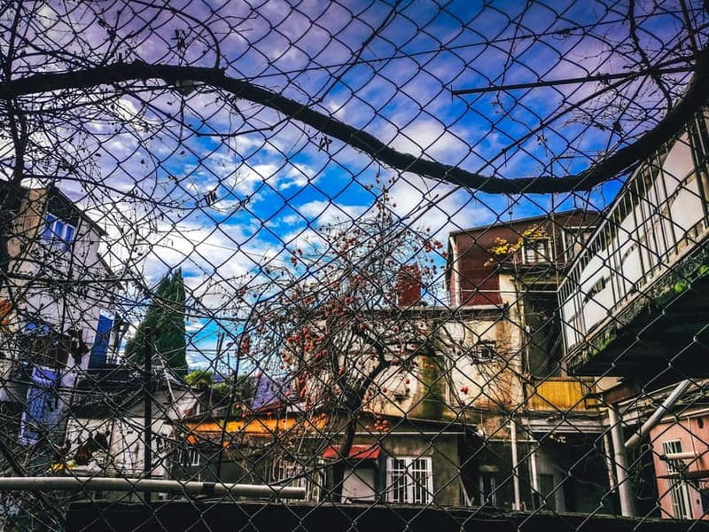 Tbilisi: 50+ Hidden Gems Guided Tour - Should you book the Tbilisi 50+ Hidden Gems Tour?