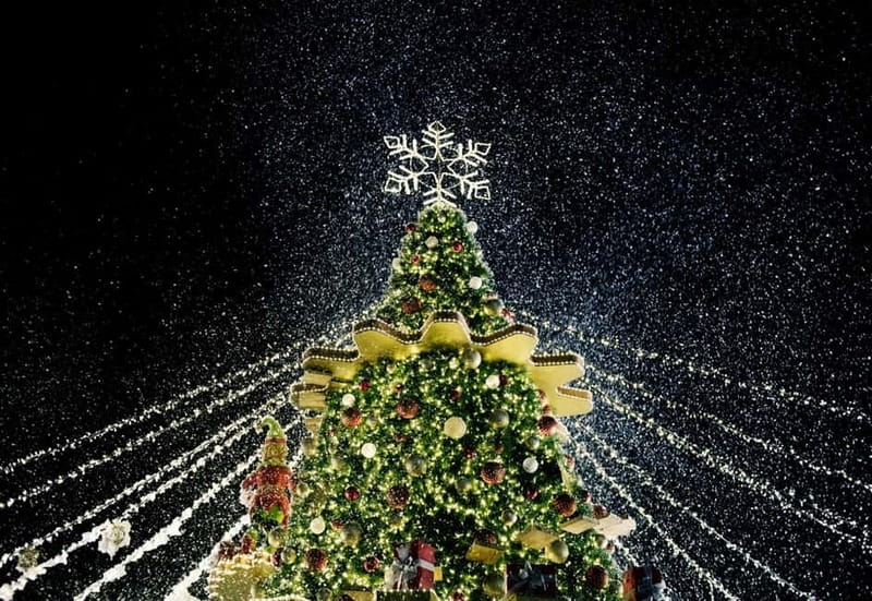 Tbilisi: Christmas Tour & Glühwein, Half-Day Guided Walking - Café Lolita and Stamba: the first taste of Tbilisi’s winter style