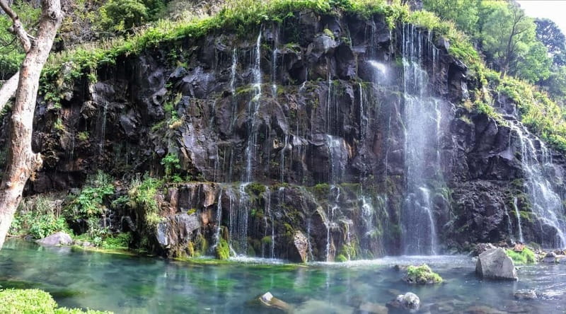 Tbilisi: Dashbashi Canyon and the Diamond Bridge Day Trip - Who will enjoy this day trip most