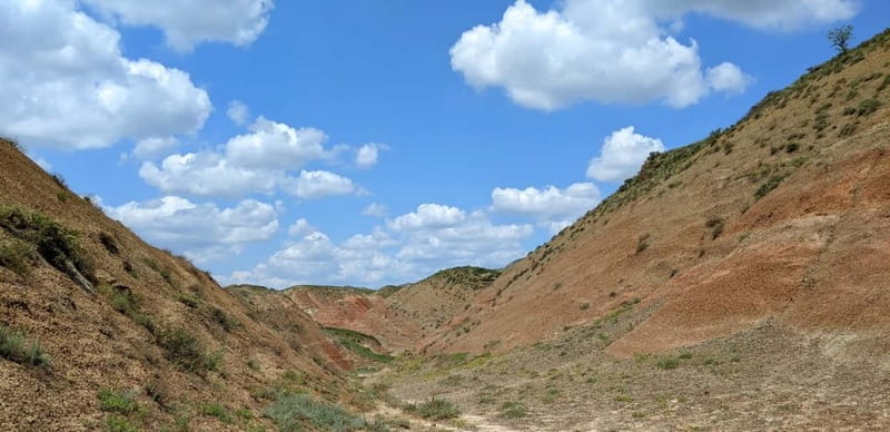 Tbilisi: David Gareja and Colorful hills of Semi-desert - Key Points Before You Book