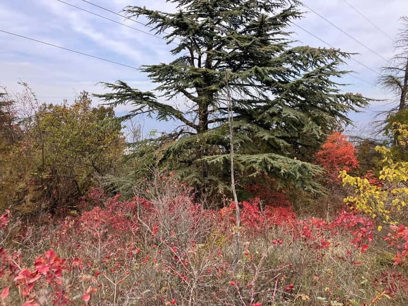 Tbilisi: Delightful Trail over the City - What makes this Mtatsminda hike worth your time