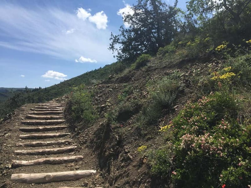 Tbilisi: Delightful Trail over the City - Who should book this hike