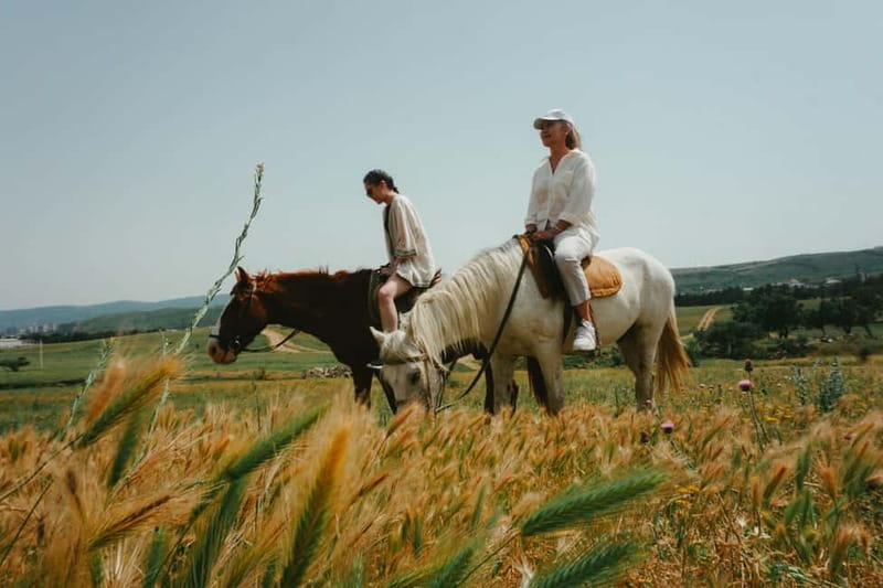 Tbilisi: Horseback Riding Experience - Key points to know before booking