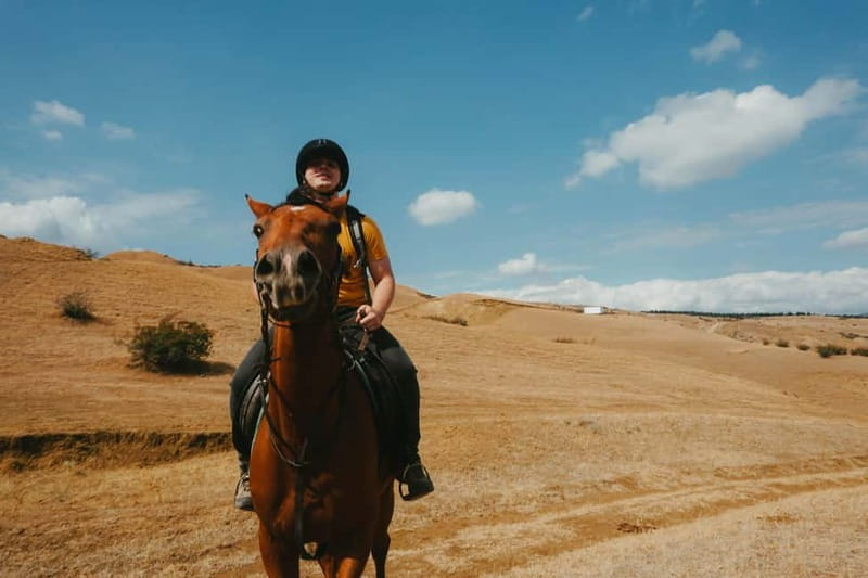 Tbilisi: Horseback Riding Experience - A gentle first ride outside Tbilisi