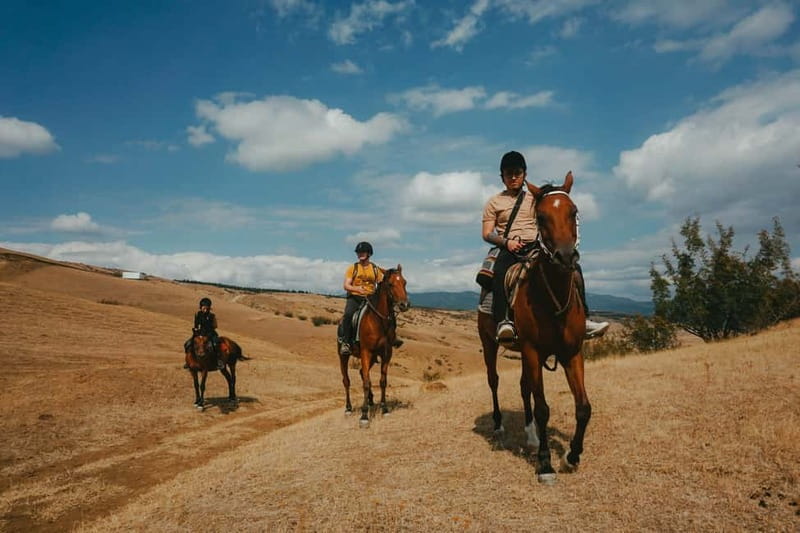 Tbilisi: Horseback Riding Experience - Galloping is possible, but ask first