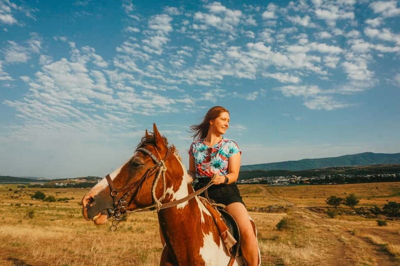 Tbilisi: Horseback Riding Experience - Who will enjoy this experience most