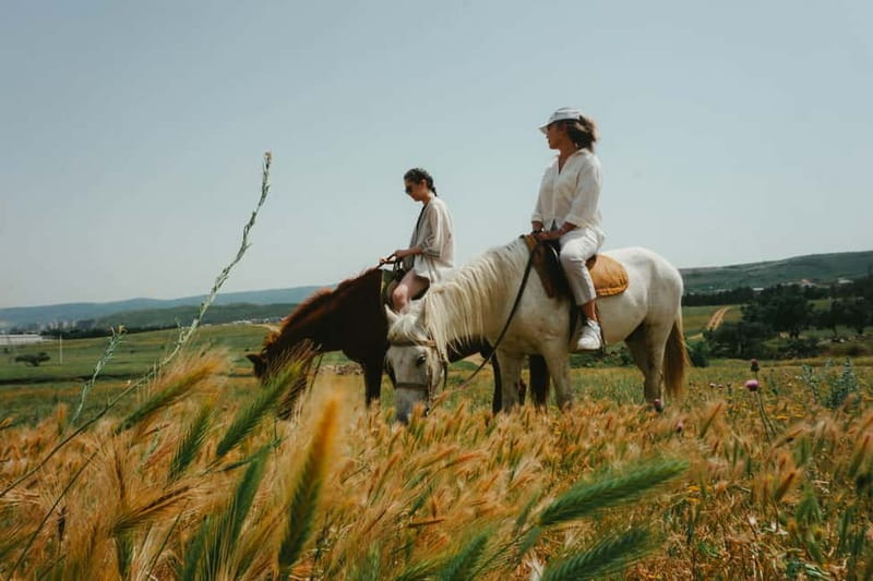 Tbilisi: Horseback Riding Experience - What happens during the one-hour ride