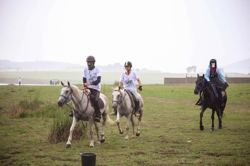 Tbilisi: Kakheti Horse Riding, Wine Tasting, and Cooking … - Bodbe, old villages, and the quieter side of the region