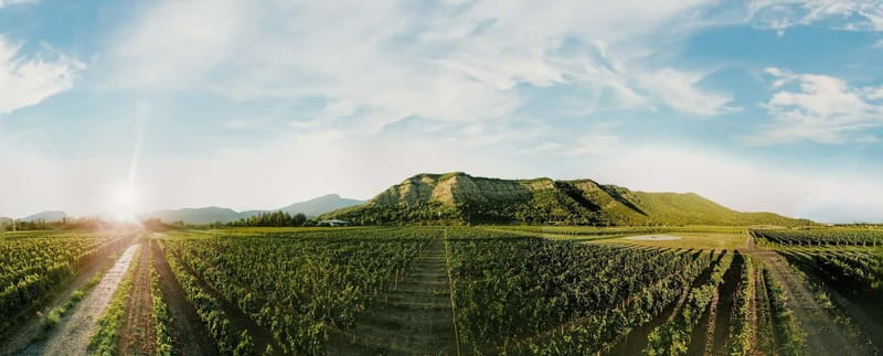 Tbilisi: Kakheti Horse Riding, Wine Tasting, and Cooking … - From the saddle to the Kvareli Wine Cave