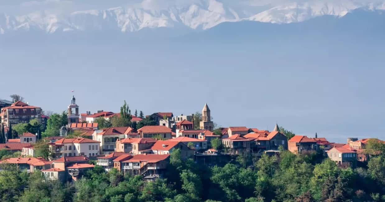 TBILISI :Kakheti Sighnaghi Bodbe Telavi, 7 Free Wine testing - Who should choose this Kakheti tour?