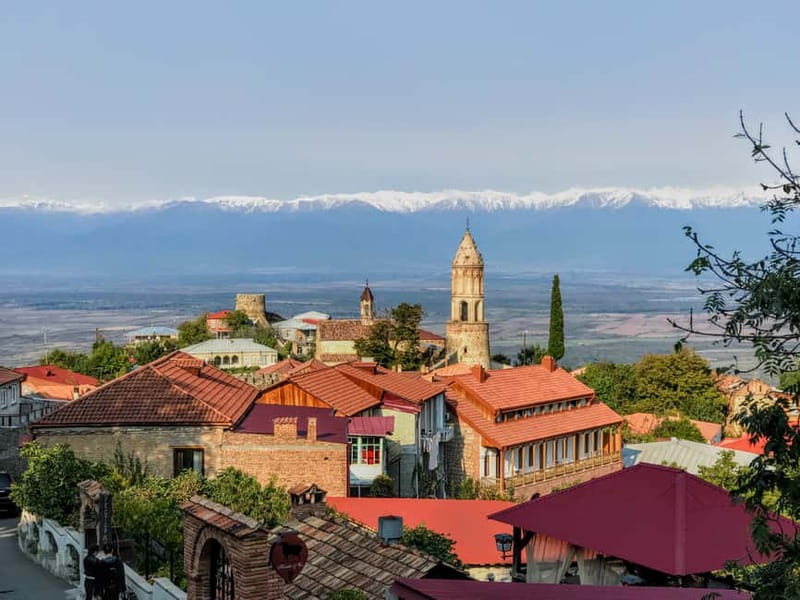 Tbilisi: Kakheti Signagi Telavi Alaverdi Full-Day Tour - Kvareli wine tasting and the extra costs