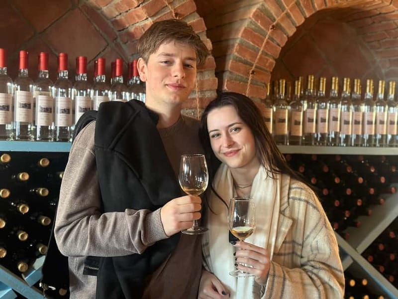 Tbilisi: Kakheti Wine Region Tour with 10 Wine Tastings - Why Kakheti makes a fine day trip from Tbilisi