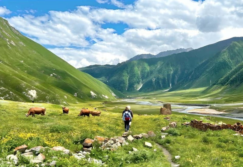 Tbilisi: Kazbegi Gudauri Ananuri and Truso Adventure by 4x4 - Pasanauri, lunch, and the road to Gudauri