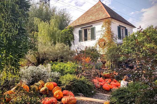 Tbilisi Lakes and Sightseeing tour - Gardenia Shevardnadze and a gardener’s personal project