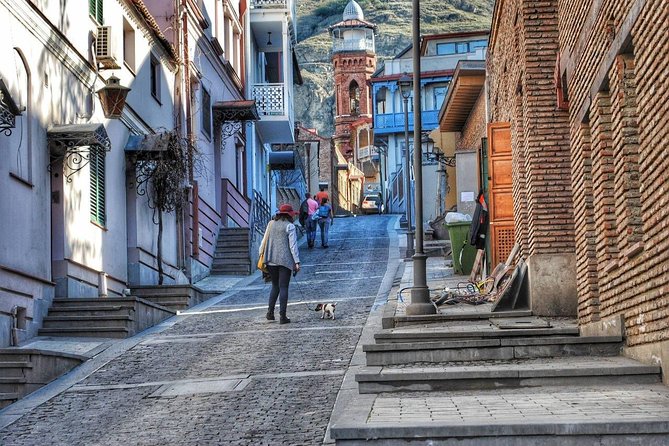 Tbilisi Private Arrival Airport Transfer - Drivers who make the arrival easier