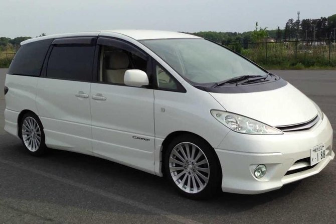 Tbilisi Private Arrival Airport Transfer - Cars, luggage, and group size