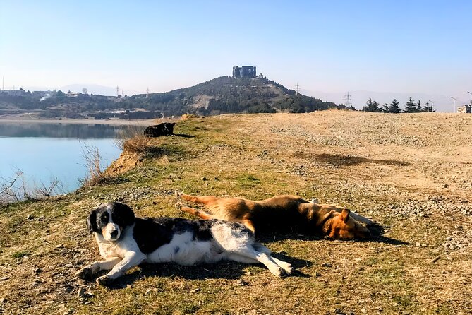 Tbilisi: Sabaduri Forest, Georgian Stonehenge & Bear Sanctuary - Walking through Sabaduri Forest