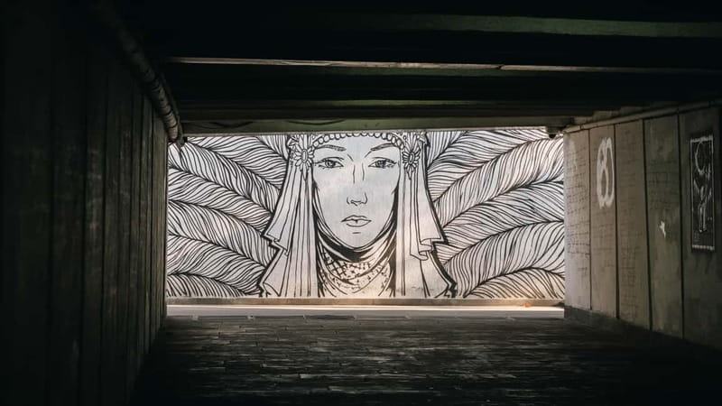 Tbilisi: Street Art and Graffiti Guided Walking Tour - Is $24 good value?