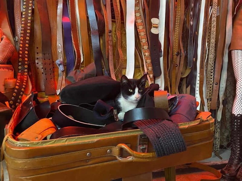 Tbilisi: Vintage Fashion and Secondhand Thrifting Tour - Who will enjoy this most