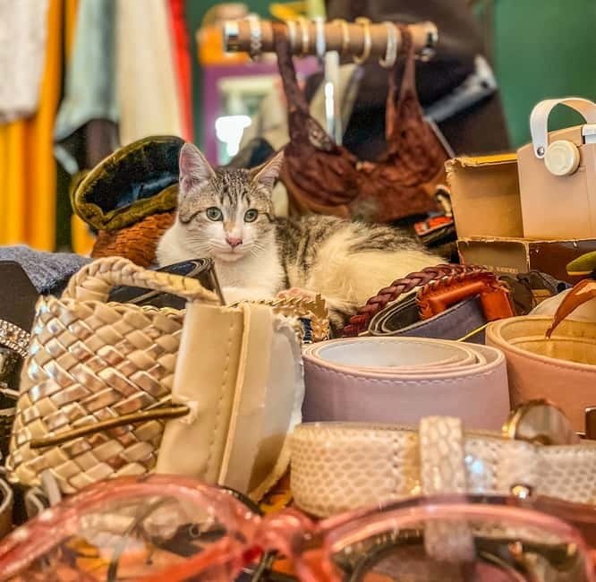 Tbilisi: Vintage Stores and Cafes Walking Tour with Coffee - Vintylator and Metro: vintage shopping with context
