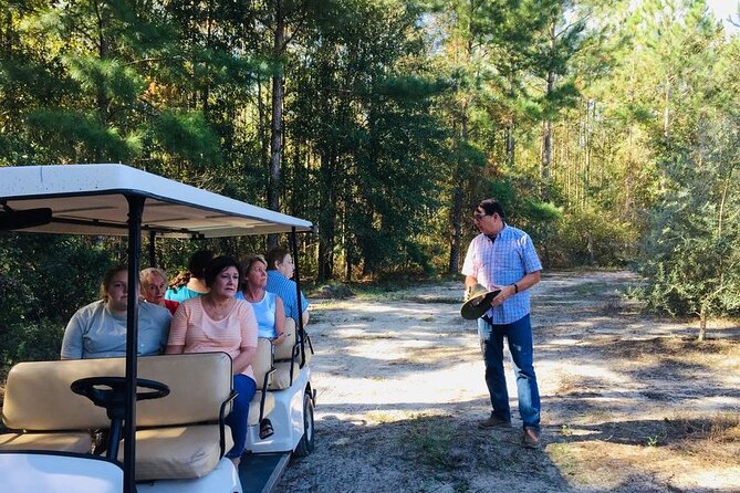 The Olive Grove Tour - Key points to know before you go