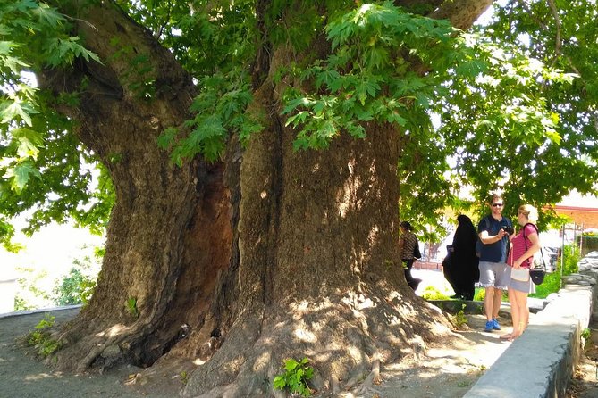 Tour to Kakheti. Sighnaghi –Bodbe Monastery –Tsinandali –Telavi –Winery –Gombori - The Gombori Pass return to Tbilisi