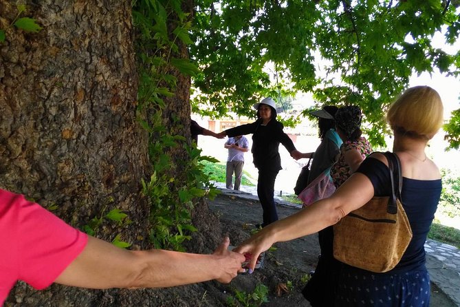 Tour to Kakheti. Sighnaghi –Bodbe Monastery –Tsinandali –Telavi –Winery –Gombori - Is $58.90 a fair price?