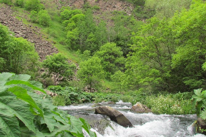 Trip to The Diamond Bridge and Dashbashi Canyon - Returning to Tbilisi by funicular