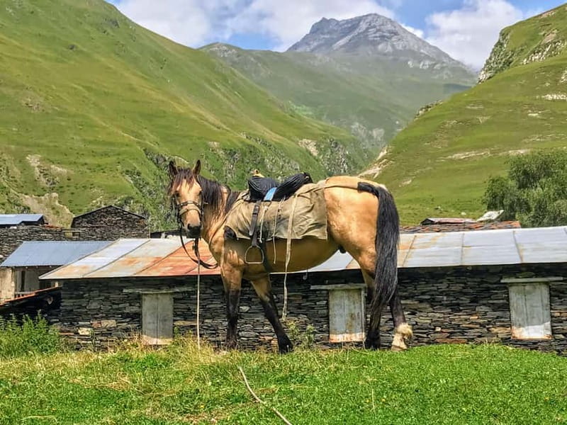 Tusheti Thrill: Limited-Time Mountain Escape 3 day tour - Key points at a glance