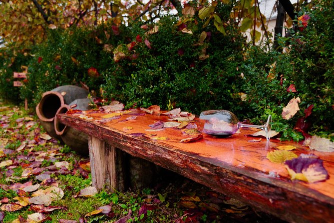 Two Days in Gorgeous Wine Region with Full board Meals and Tastings From Tbilisi - Sighnaghi Okro’s Organic Winery and the Town Above the Valley