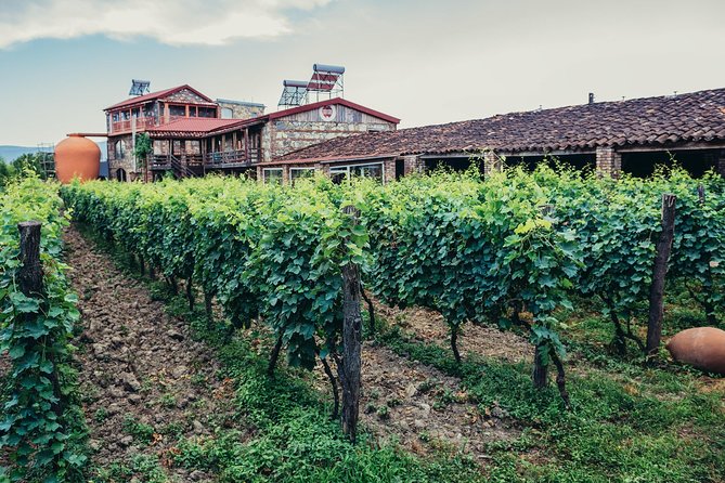 Two Days in Gorgeous Wine Region with Full board Meals and Tastings From Tbilisi - Chelti Winery and a More Vineyard-Focused Stop