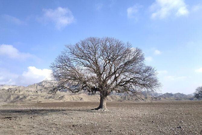 Vashlovani National Park Day Trip from Tbilisi - Key points to know before booking