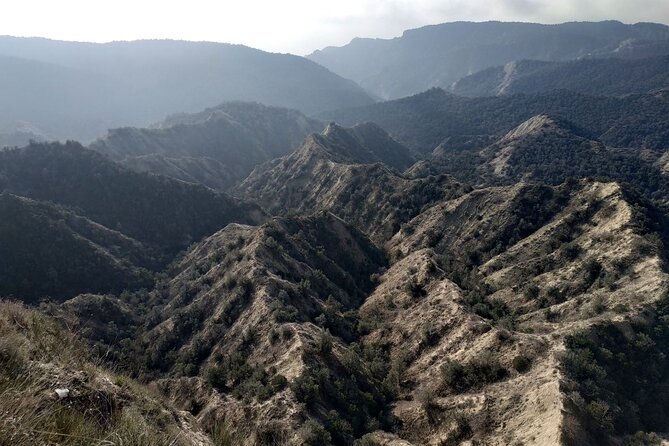 Vashlovani National Park Day Trip from Tbilisi - Why Vashlovani is worth the long ride from Tbilisi