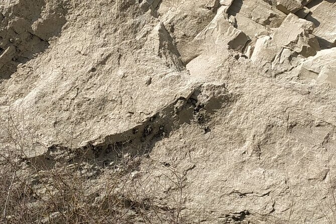 Vashlovani National Park Day Trip from Tbilisi - Artsivi Gorge and the park’s dramatic rock scenery