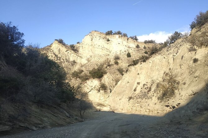 Vashlovani National Park Day Trip from Tbilisi - Birding beside the Alazani River
